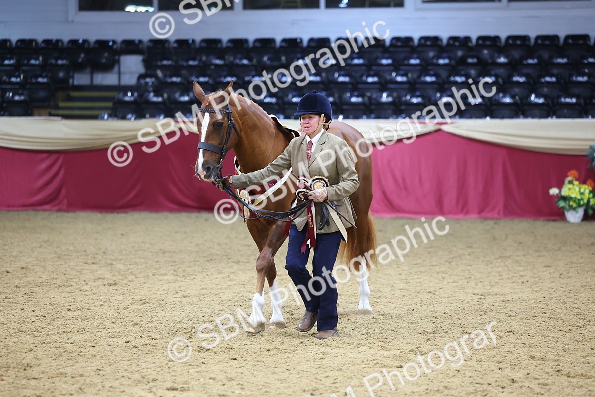 SBM_19821 - Class 901 - Supreme Final - IH Diamond