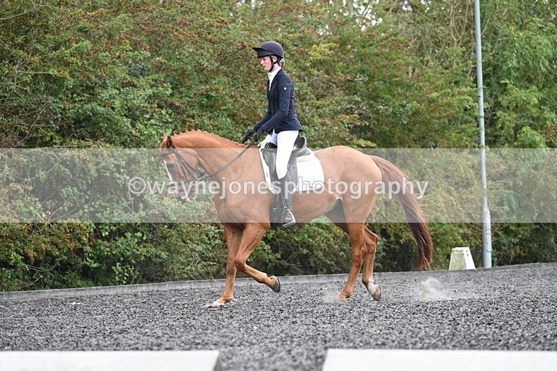 WJ7_6719 - Time 14:49 to 15:14