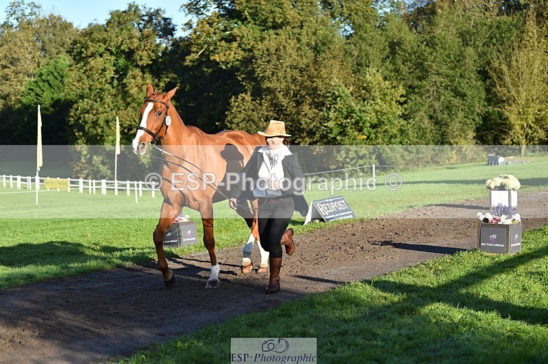 231022-093104-21847 - 607-RICO.III-Alison.Stewart-TrotUp+SJ