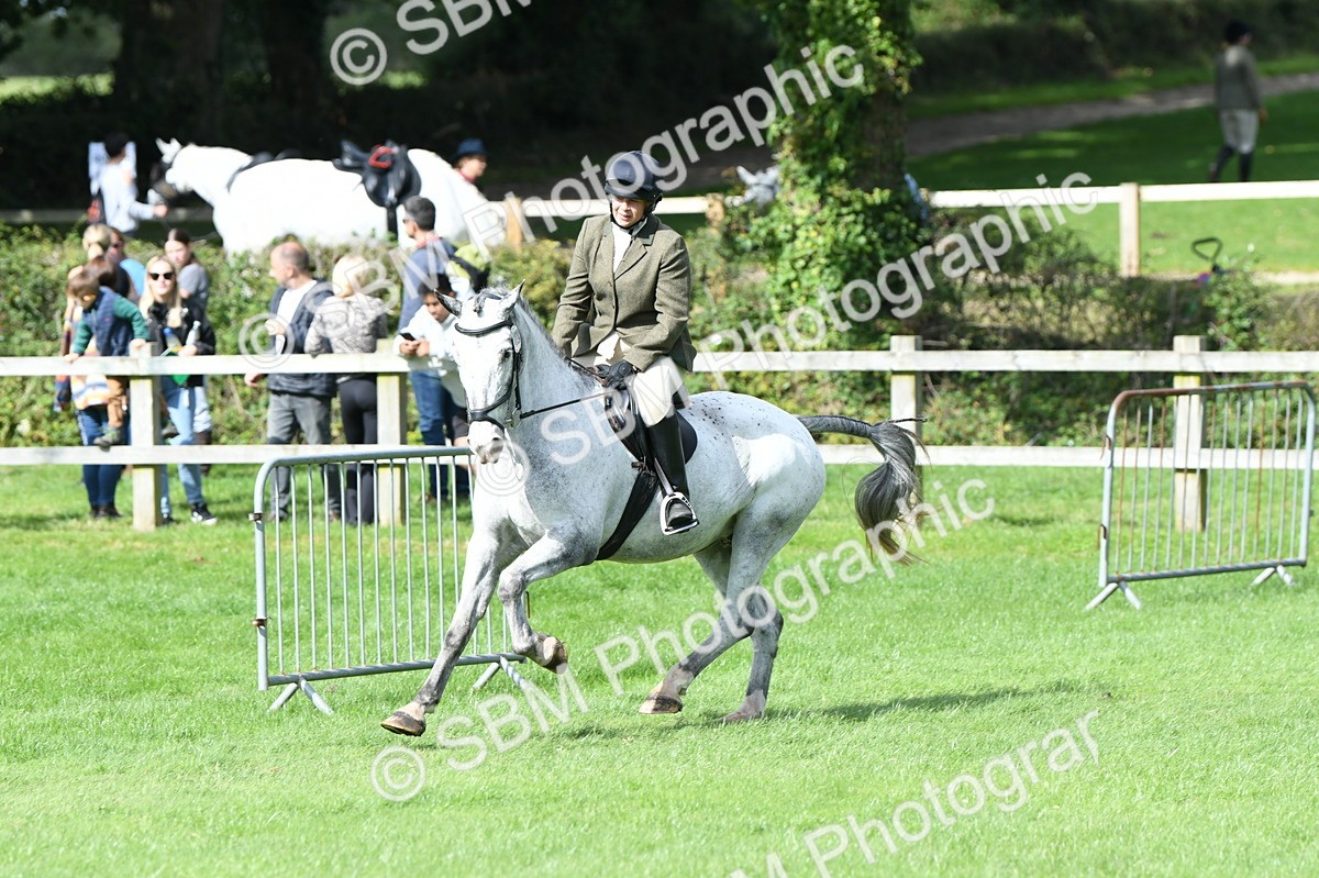 SBM_46895 - S12 - Family Horse & Pony