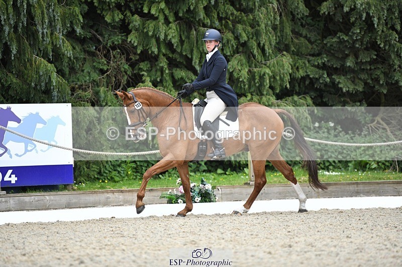 230525-144550-03173 - 323-CHESTNUT_BOBBY-Molly_Fletcher-WEDTrotUp+DR