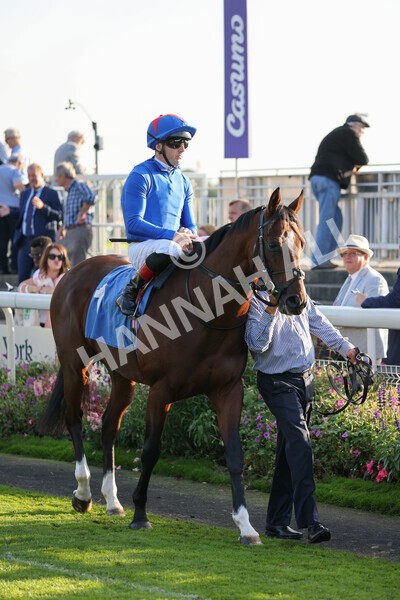 yr08102021r6-4 - Race 6 4.55pm Frank Whittle Partnership British EBF Restricted Novice Stakes
