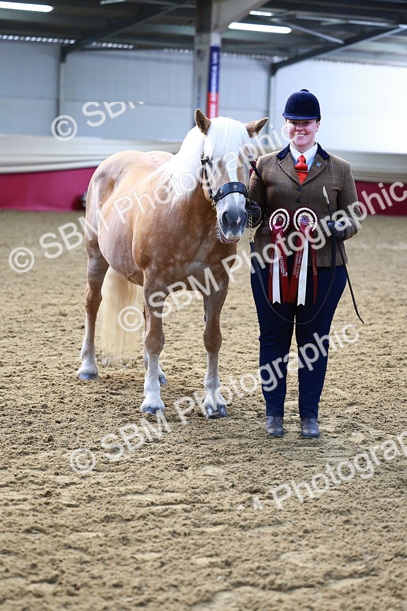 SBM_21933 - Class 901 - Supreme Final - IH  Diamond