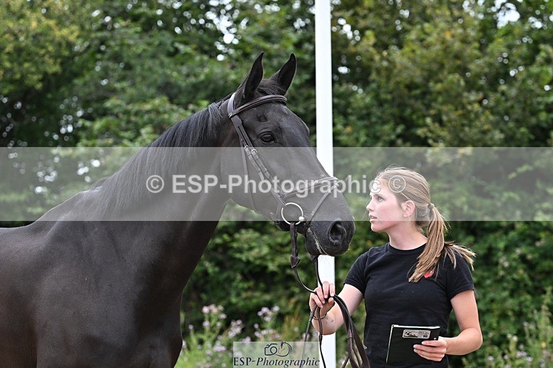 250716-133955-00615 - Trot Up 1.30 to 2.30