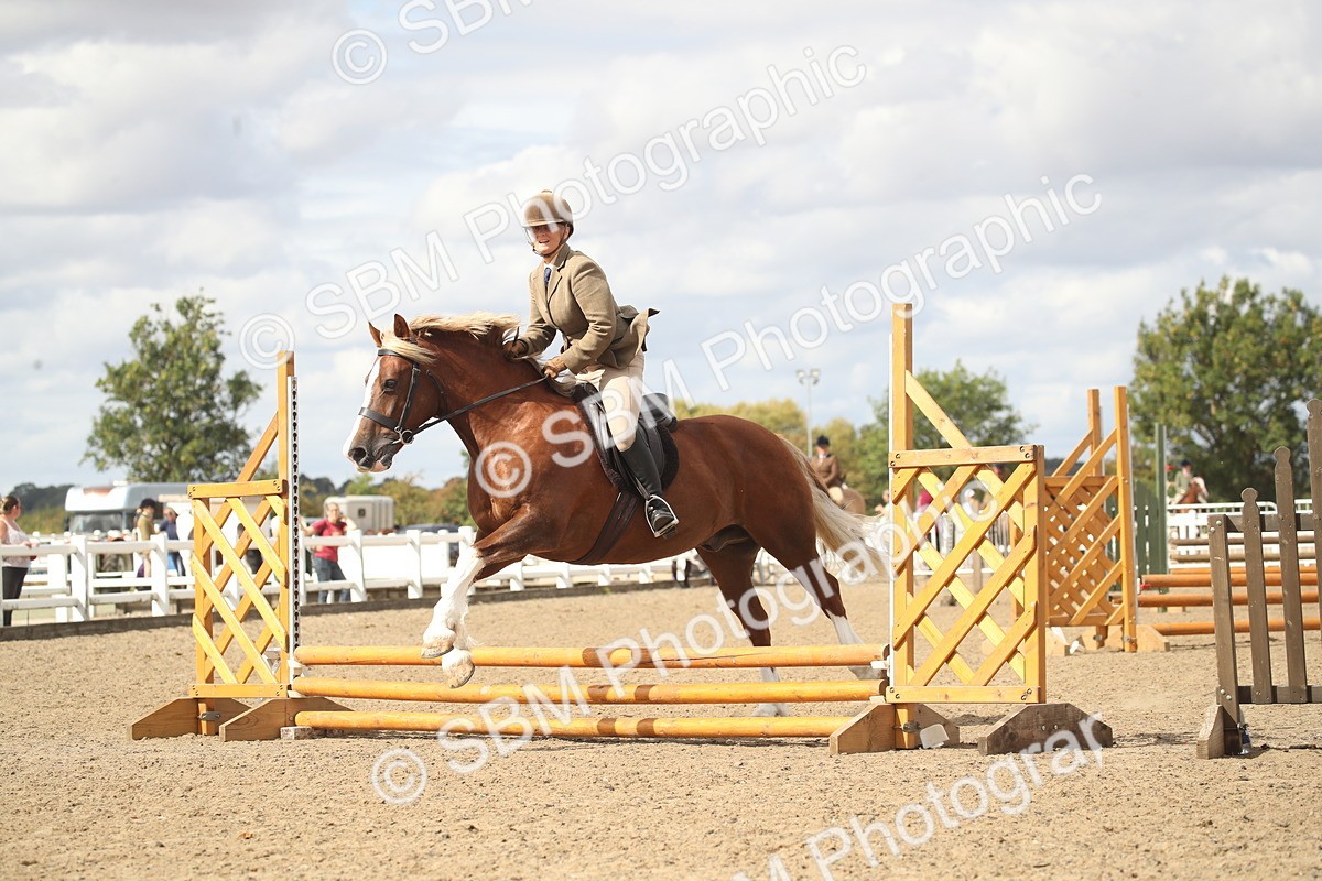 SBM_14551 - Class 505a - M&M Working Veteran - 50cm (15-19)