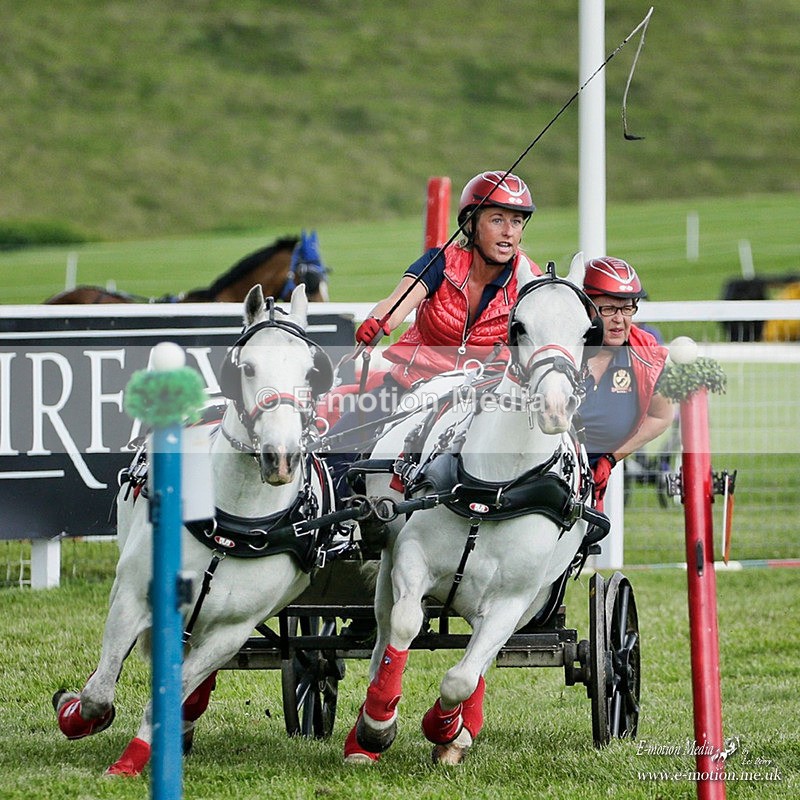 BE 080721 01706a - Equestrian