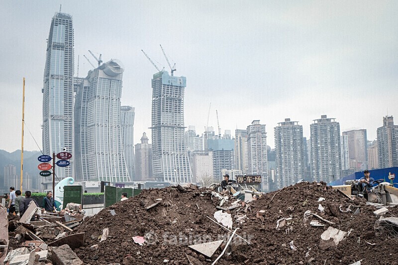  - Where the Wild Concrete Grows (China, ongoing)