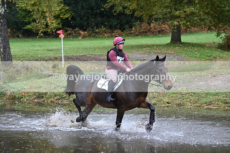 WJ7_3339 - Time 11:13 to 11:32