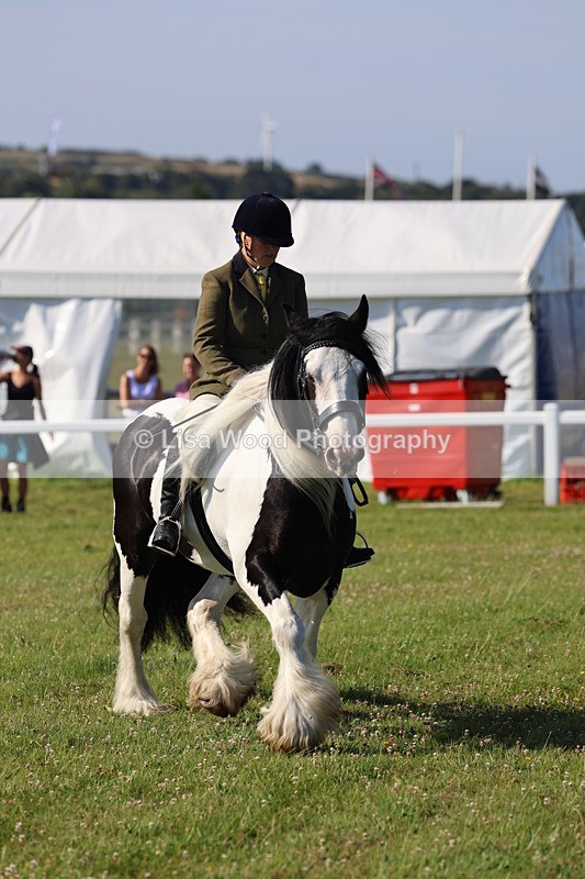 IMG_1513 - Class 30: Ridden Native/Trad Coloured Pony