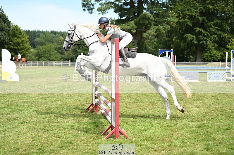 250704A-113739-07312 - Cls 25 Snr British Novice and 90cm