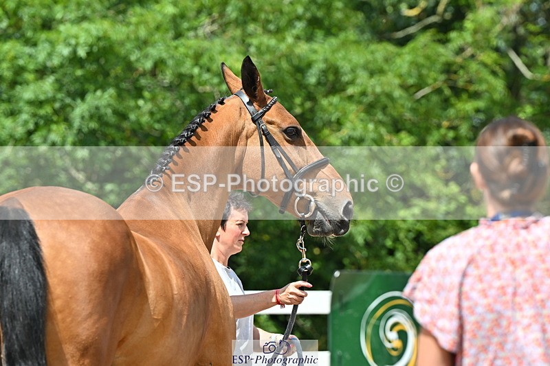 240718A-105259-01419 - Trot Up 12pm to 1pm