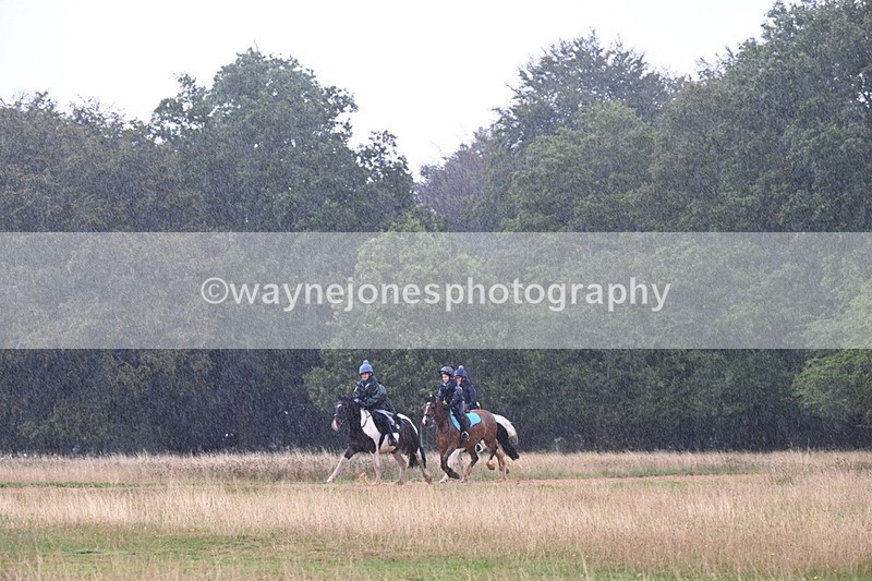 DSC_3038 - Time at Statue 12:59 to 13:49