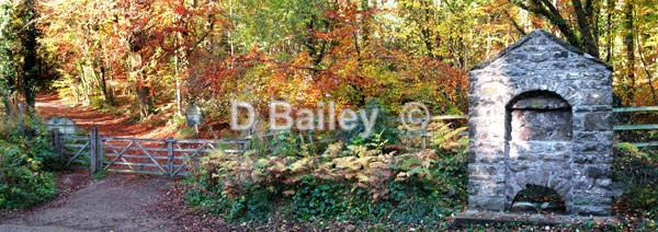 Loggerheads Country Park - Places of Interest