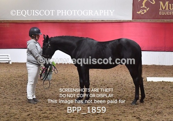 BPP_1859 - AFTERNOON 12.30 - 3.30PM