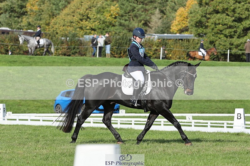 251024A-115251-10070 - D-356-Eloise.Starr