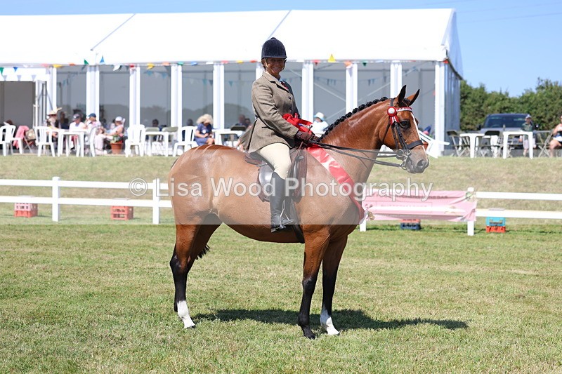 3E7A7608 - Rising Star Ridden Championship