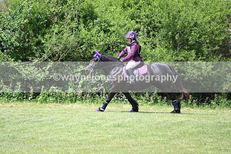 WJ6_3340 - Class 4 60cm