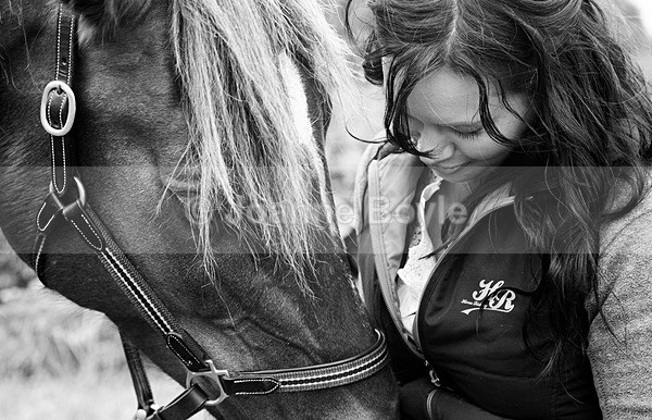 horse-cuddles - Equine Gallery Portfolio