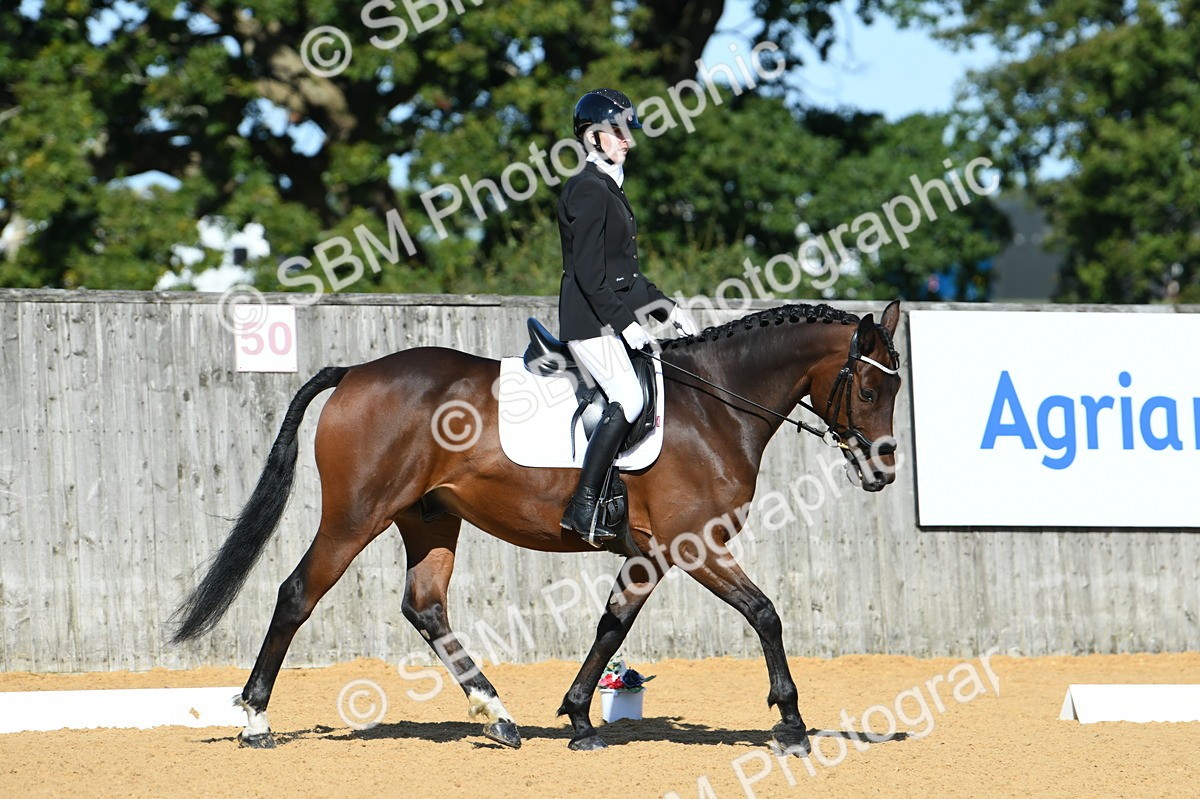 SBM_17974 - D4 - Small Tour Championship - Intro B