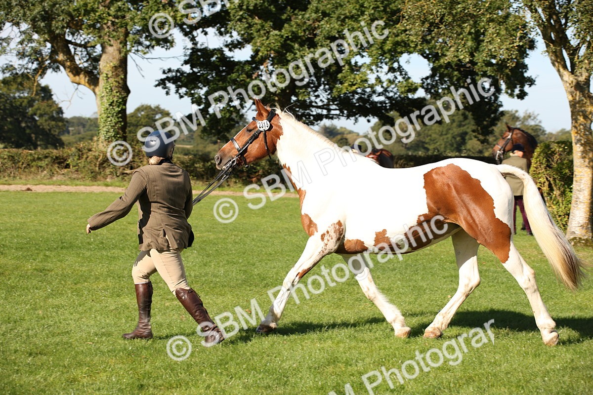 SBM_36592 - S10 - Best In Hand Horse & Pony