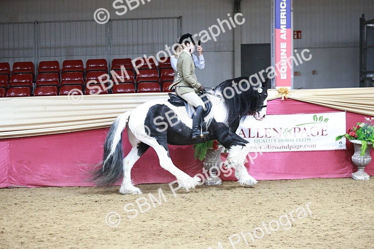 SBM_08775 - Class 12R - Regional Ridden Pre-Vet