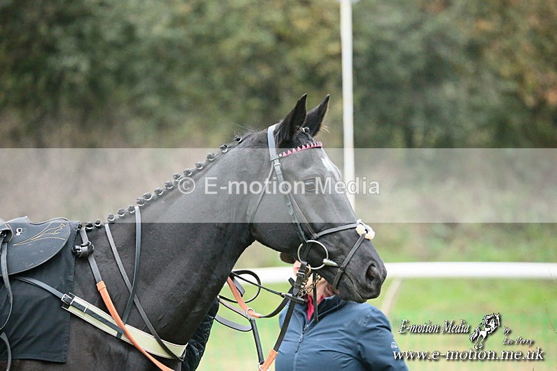 PtP 091124  233 - Knightwick Races Point-to-Point 09/11/24