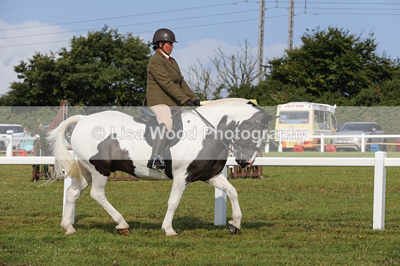 1X9A3205 - Class 28: Ridden Native/Trad Coloured Pony