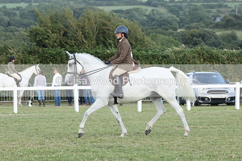 JPP_3697 - Class 24: Open Working Hunter