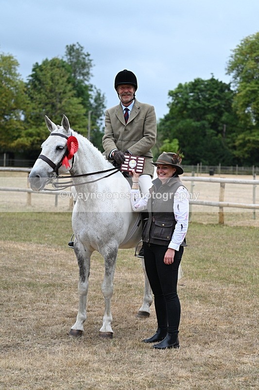 WJ7_1024 - Class 7 Riding Club Show Horse