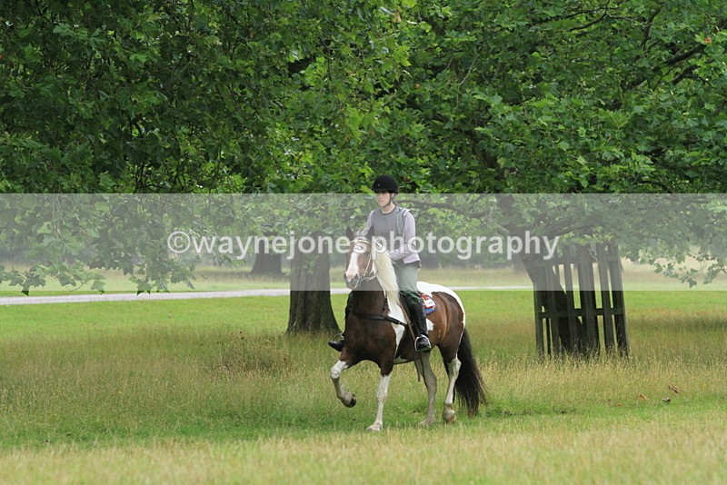 IMF_2621 - Time at Castle Jump 12:29 to 14:06