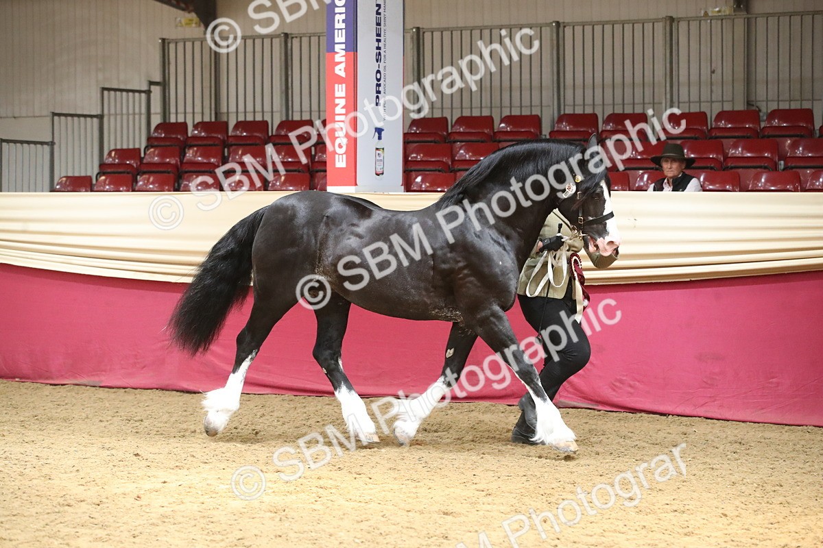 SBM_05457 - Class 8R - Regional IH Veteran