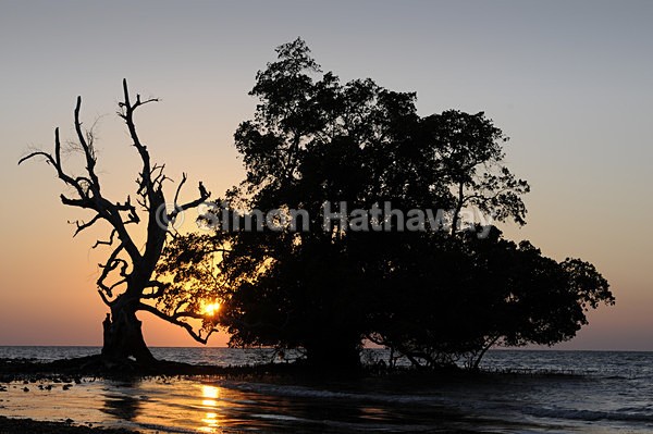  - East Timor