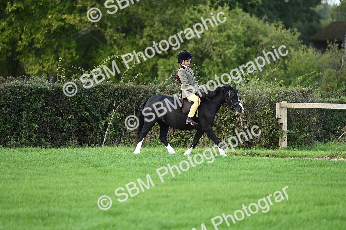 SBM_02558 - S3 - TSR Ridden Pony Showing