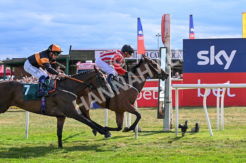 220726-Race 6-Barmyblade-0292 - Race 6 16.42pm Racing Again 4th August Handicap