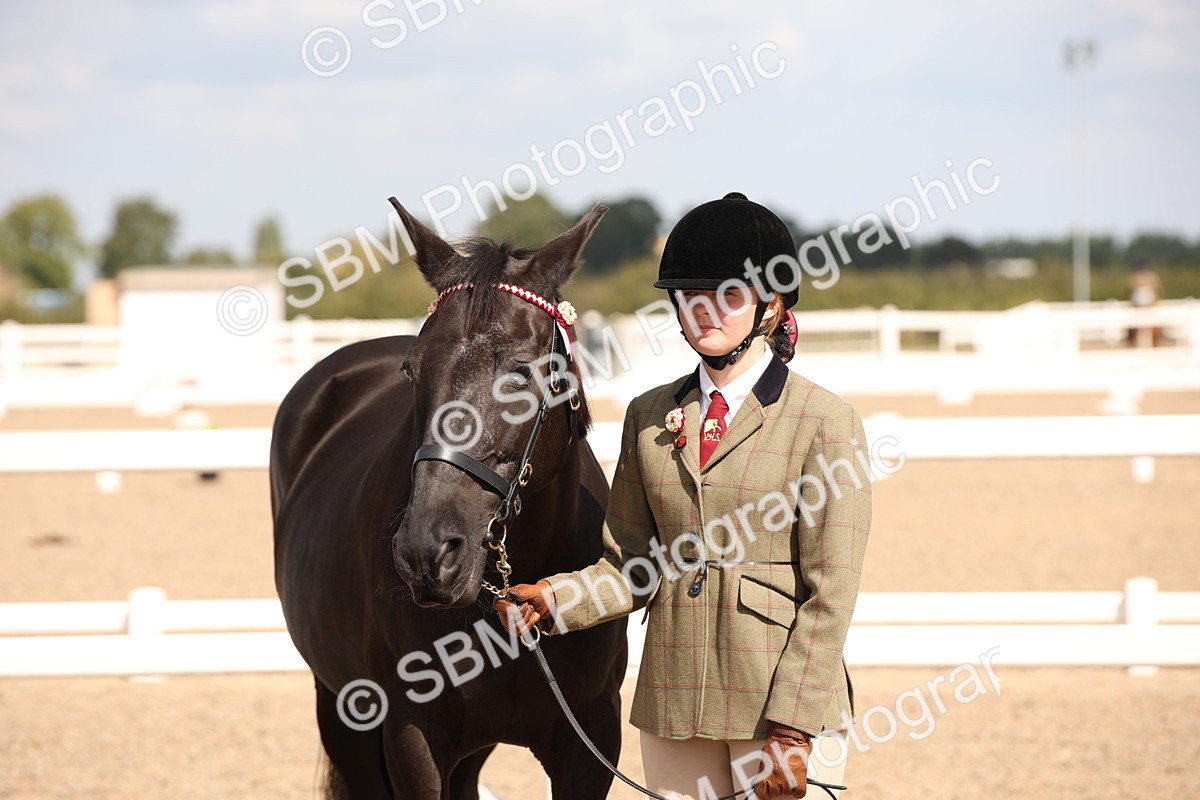 SBM_03765 - Class 19 Judge's Favourite