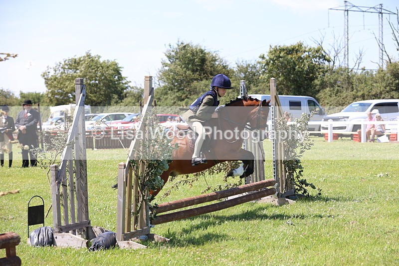 JPP_2273 - Class 20: Tiny Tots Working Hunter Pony