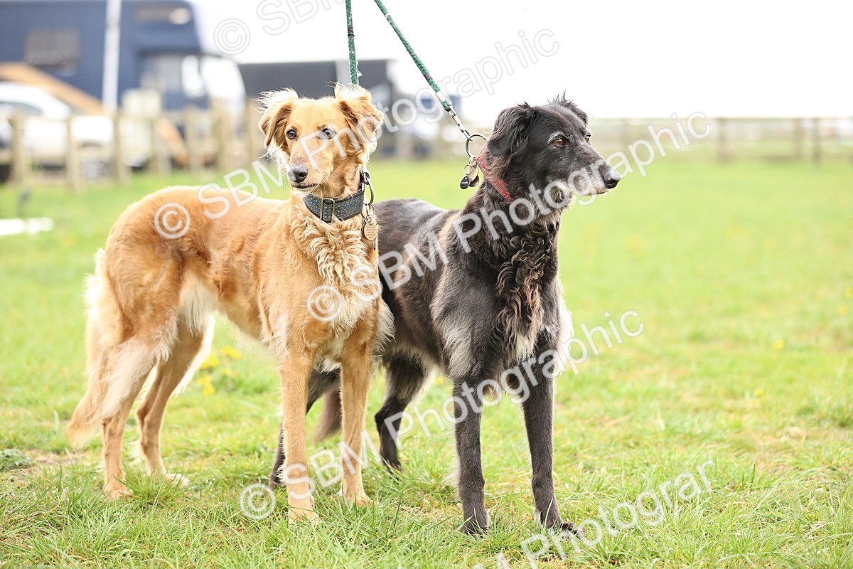 SBM_000263 - Class 3 - P4