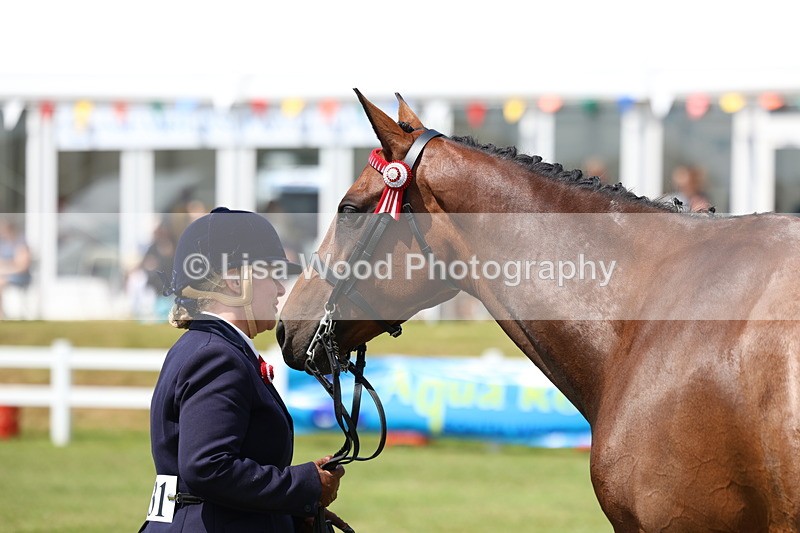 3E7A1137 - Class 8: Open Riding Horse/Hack