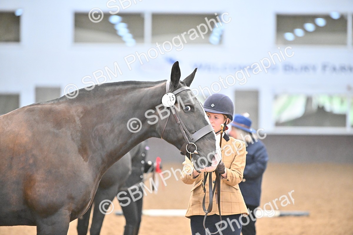 SBM_000754 - Class 16 - In Hand Showing Supreme Championships