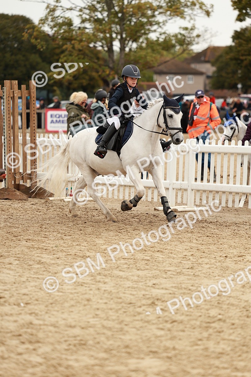 SBM_58046 - J11 - Junior Pony 50cm Championship