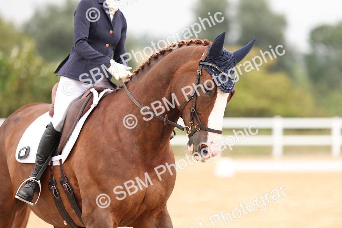 SBM_01651 - Class 9 - Novice 27 Champs