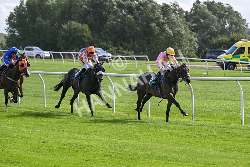 080926-Race 3-Battenburg Belle-2275 - Race 3 3.03pm Fifth Regiment Royal Artillery Handicap (Div I)