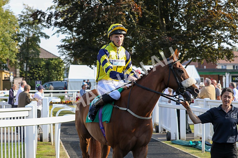 300824-Race 8-Captain Corelli-0753 - Race 8