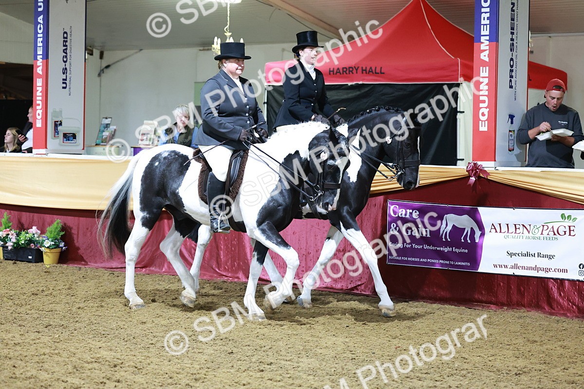 SBM_21014 - Class 0 - Ridden Pairs Champ