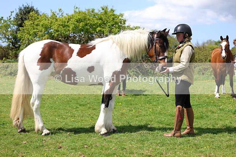 3E7A0373 - Class 19: Best Coloured in Hand