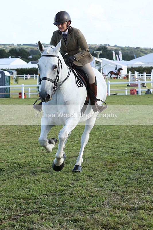 JPP_3529 - Class 22: Working Hunter 90cm