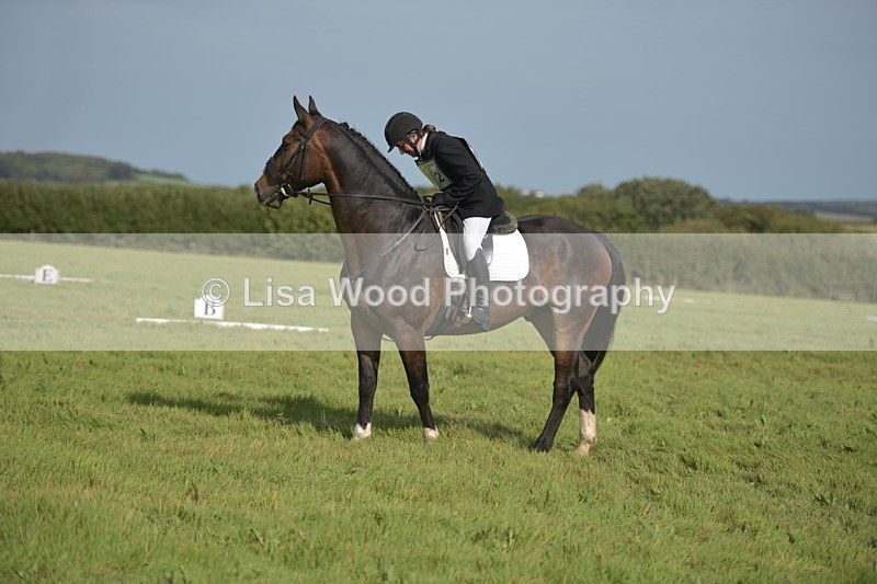 RAY_7993 - Class 2B: Trekenning Open: Dressage