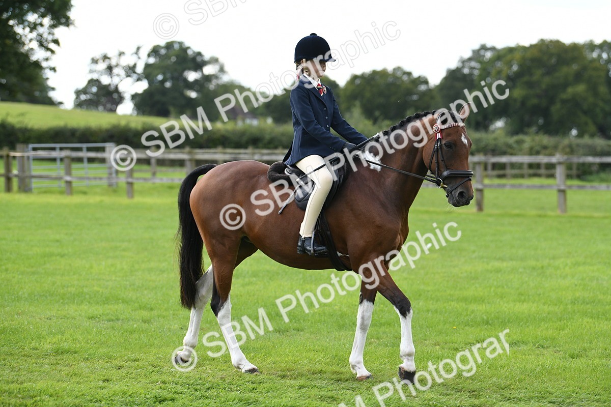 SBM_46698 - S12 - Family Horse & Pony