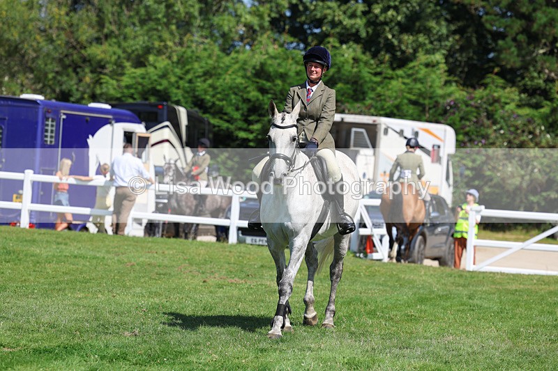 3E7A8562 - Class 5: Working Show Horse