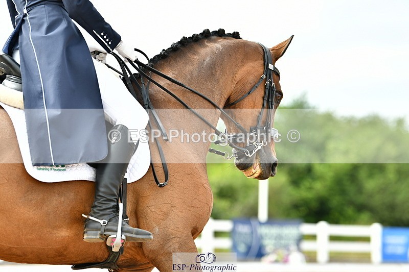 230702A-161031-11121 - Cls 37 + 42 FEI PSG + GP